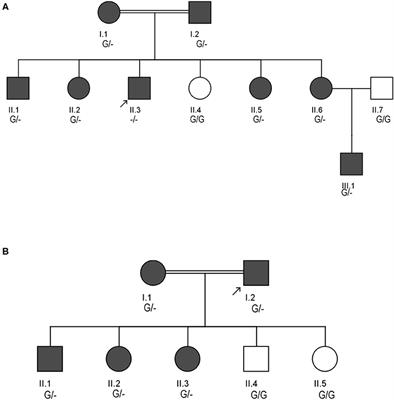 Saudi Familial Hypercholesterolemia Patients With Rare LDLR Stop Gain Variant Showed Variable Clinical Phenotype and Resistance to Multiple Drug Regimen